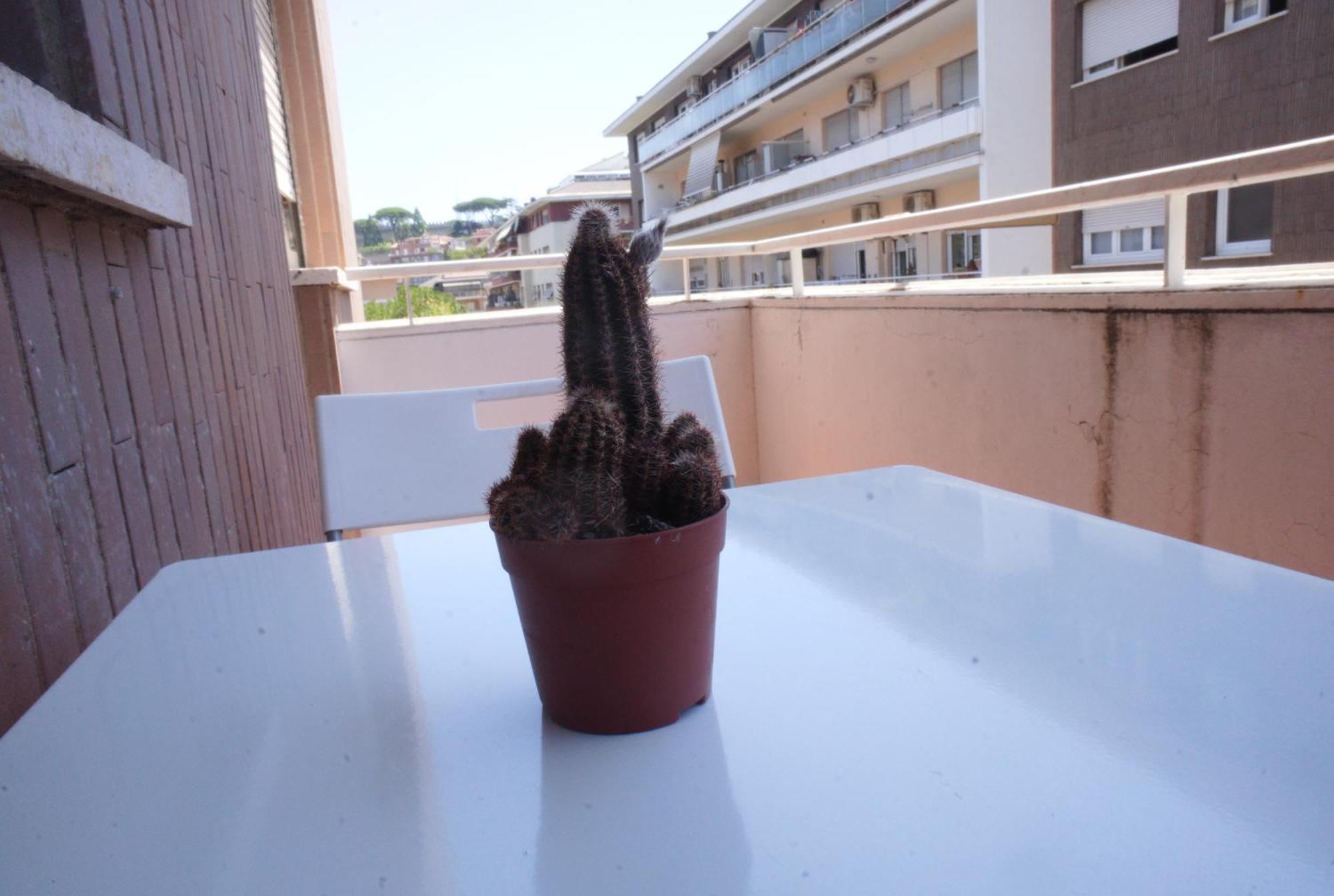 Ermete San Pietro House Apartment